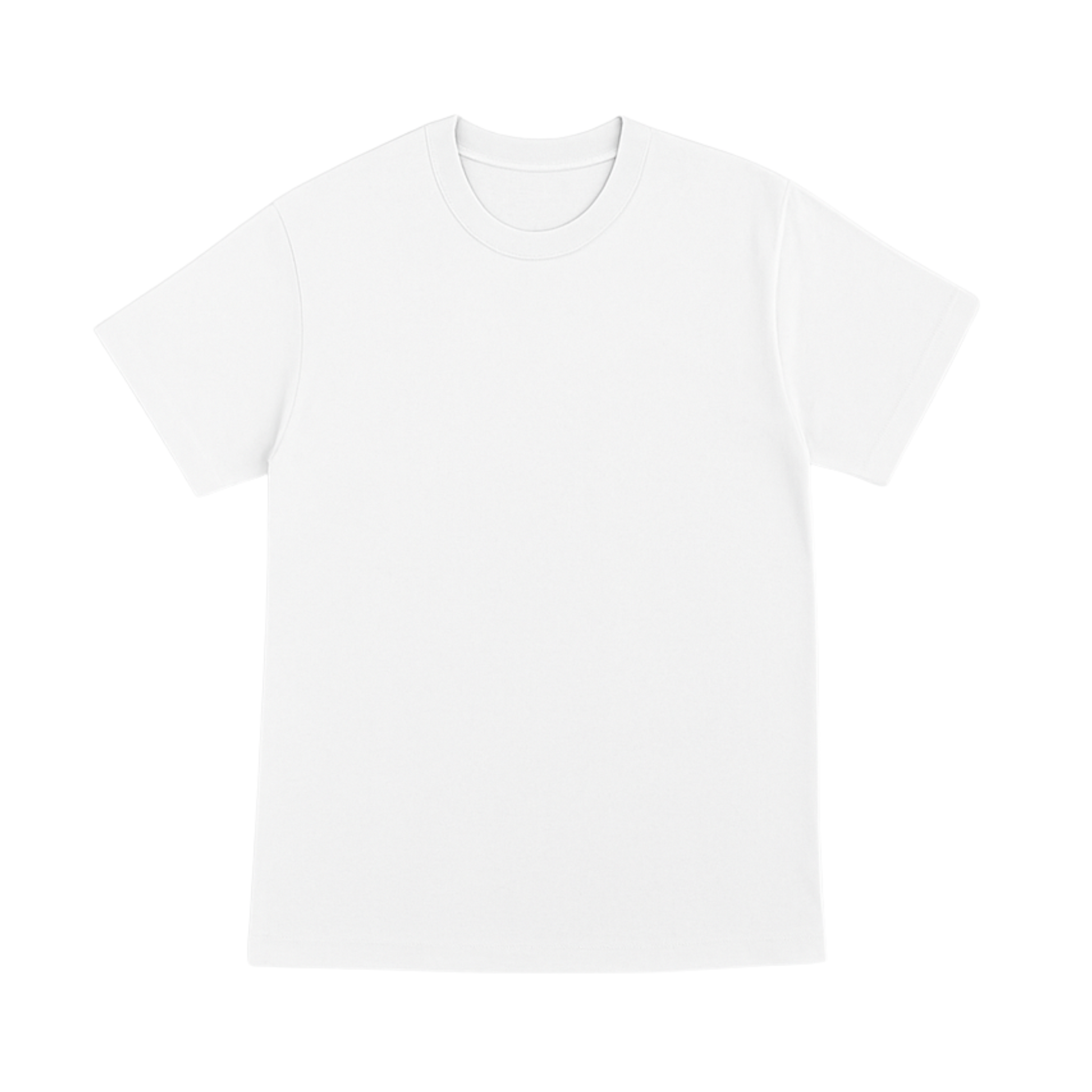 Cotton T-Shirt Short Sleeves CT21E 210gsm