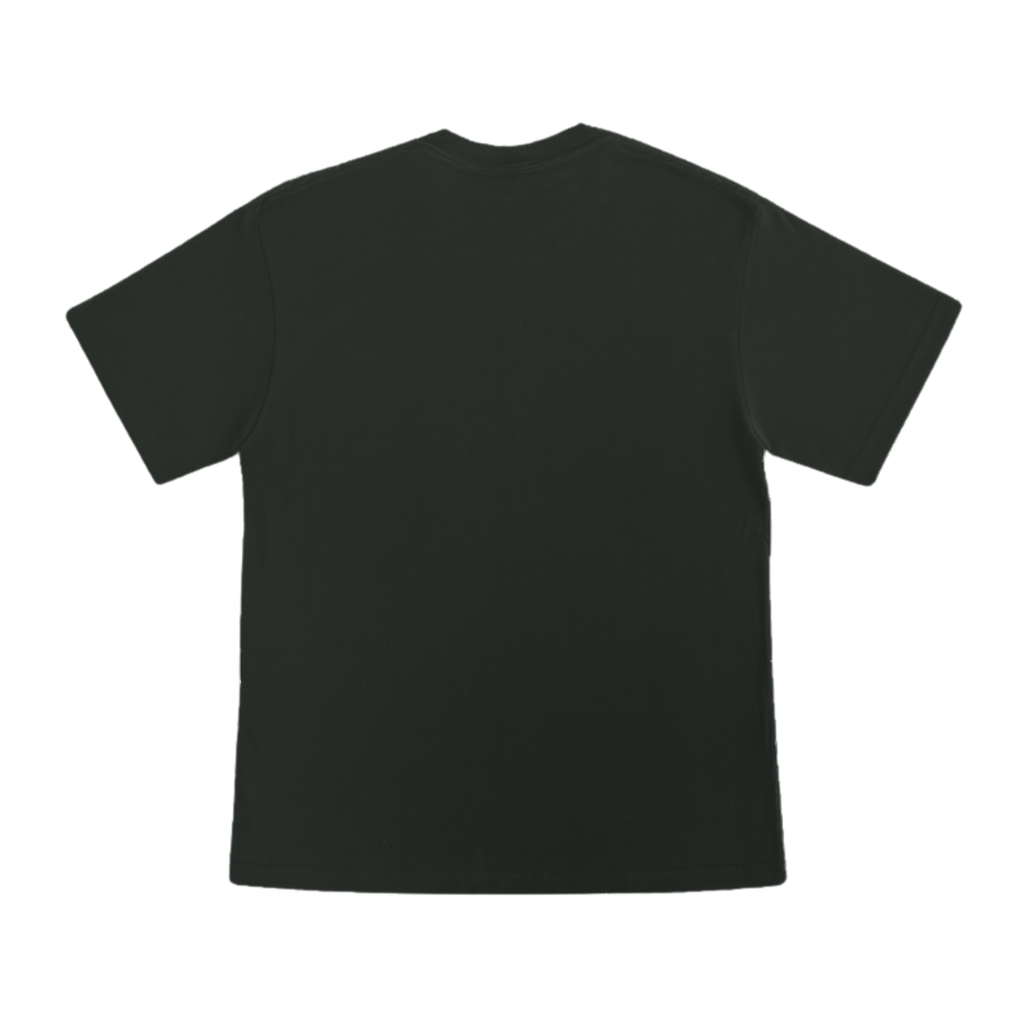 Cotton T-Shirt Short Sleeves CT21E 210gsm