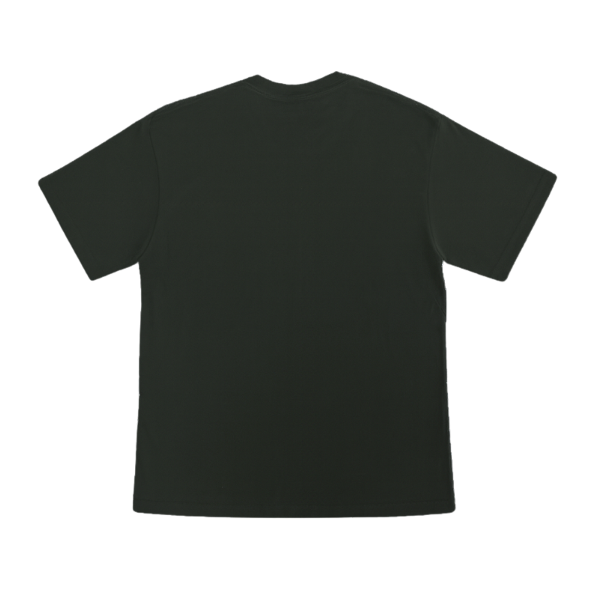 Cotton T-Shirt Short Sleeves CT21E 210gsm