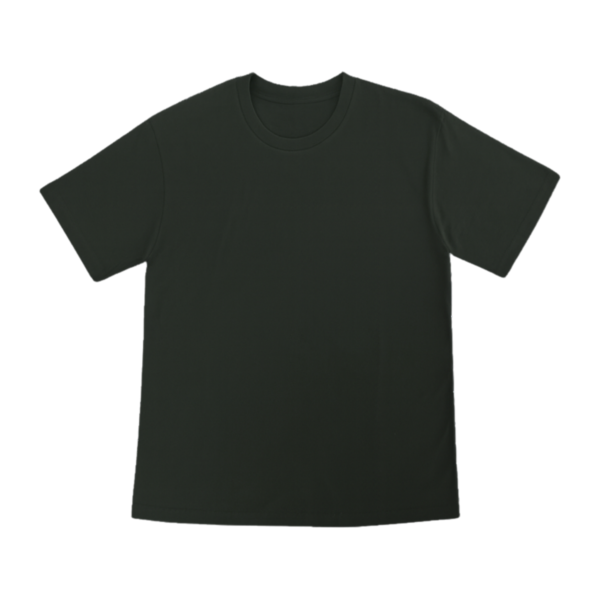 Cotton T-Shirt Short Sleeves CT21E 210gsm