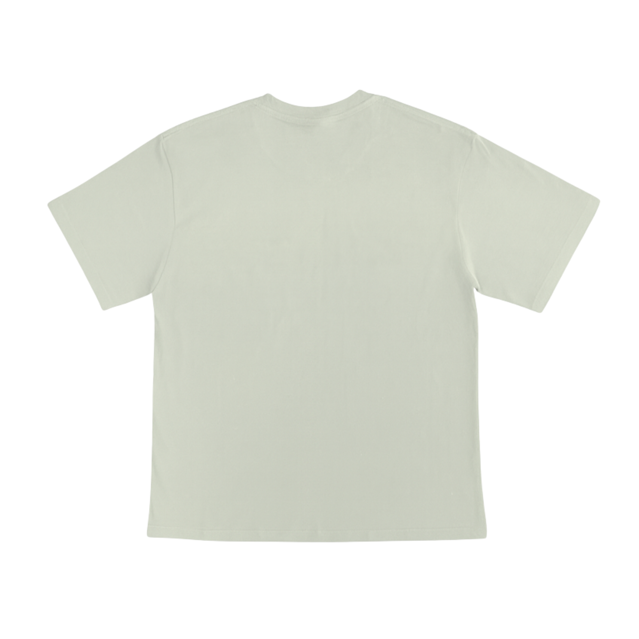 Cotton T-Shirt Short Sleeves CT21E 210gsm