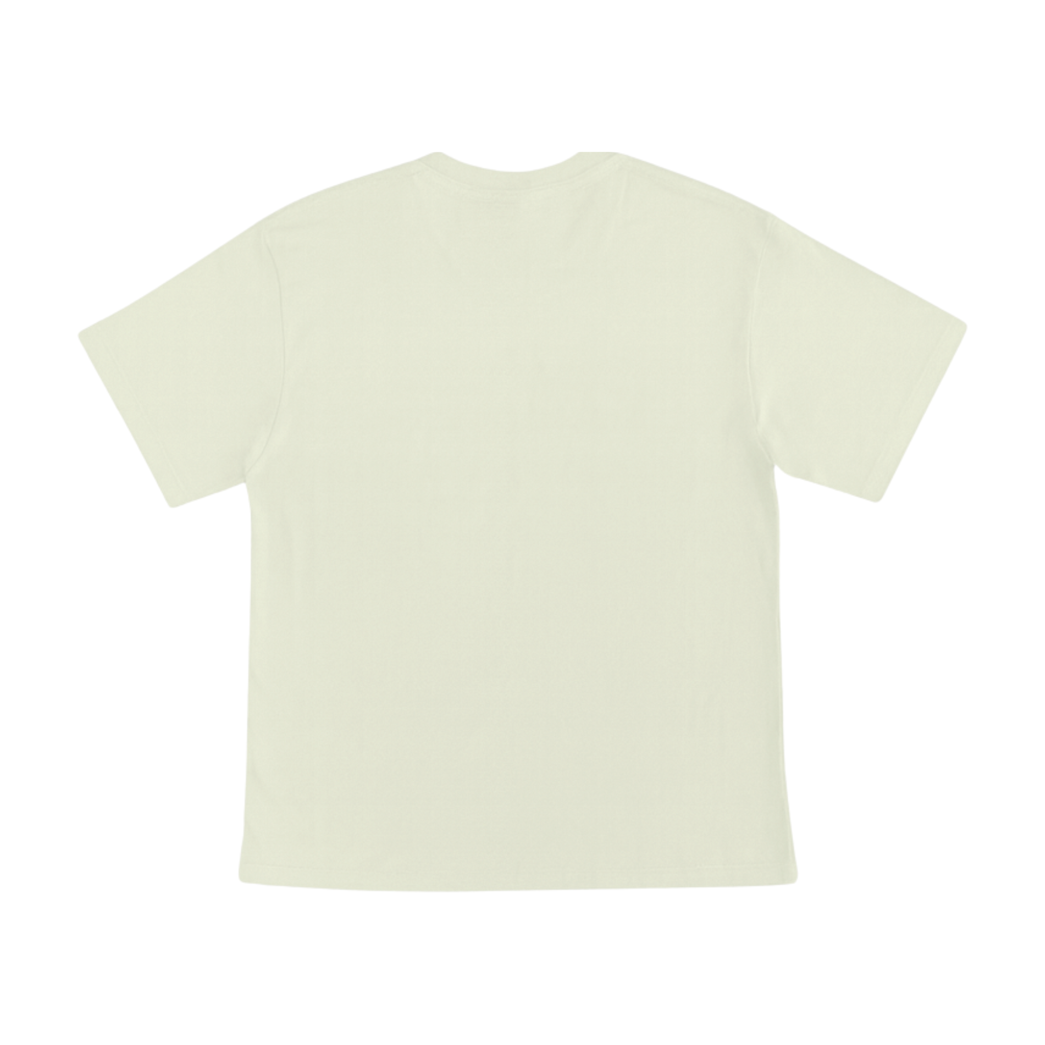 Cotton T-Shirt Short Sleeves CT21E 210gsm