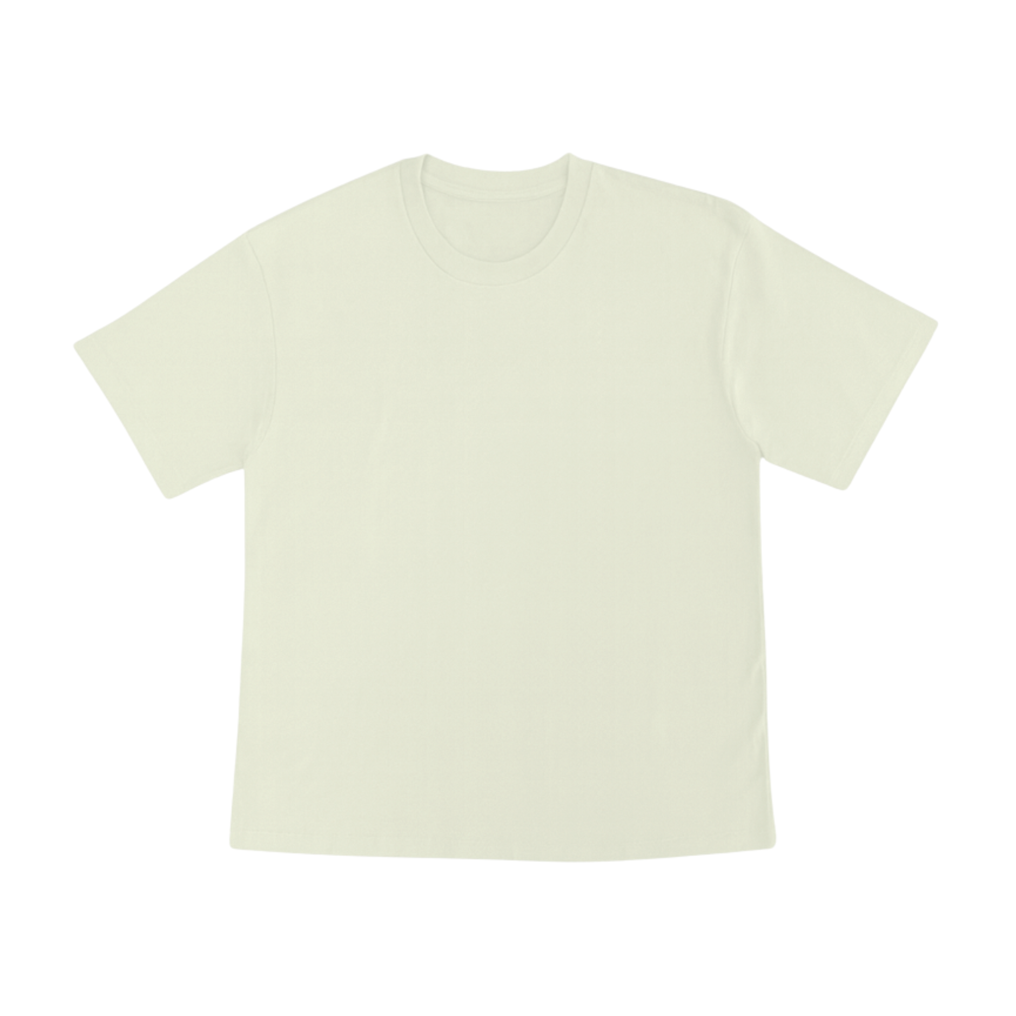 Cotton T-Shirt Short Sleeves CT21E 210gsm