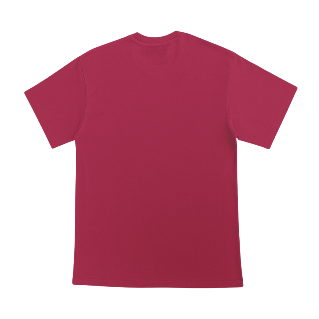 Cotton T-Shirt Short Sleeves CT21E 210gsm