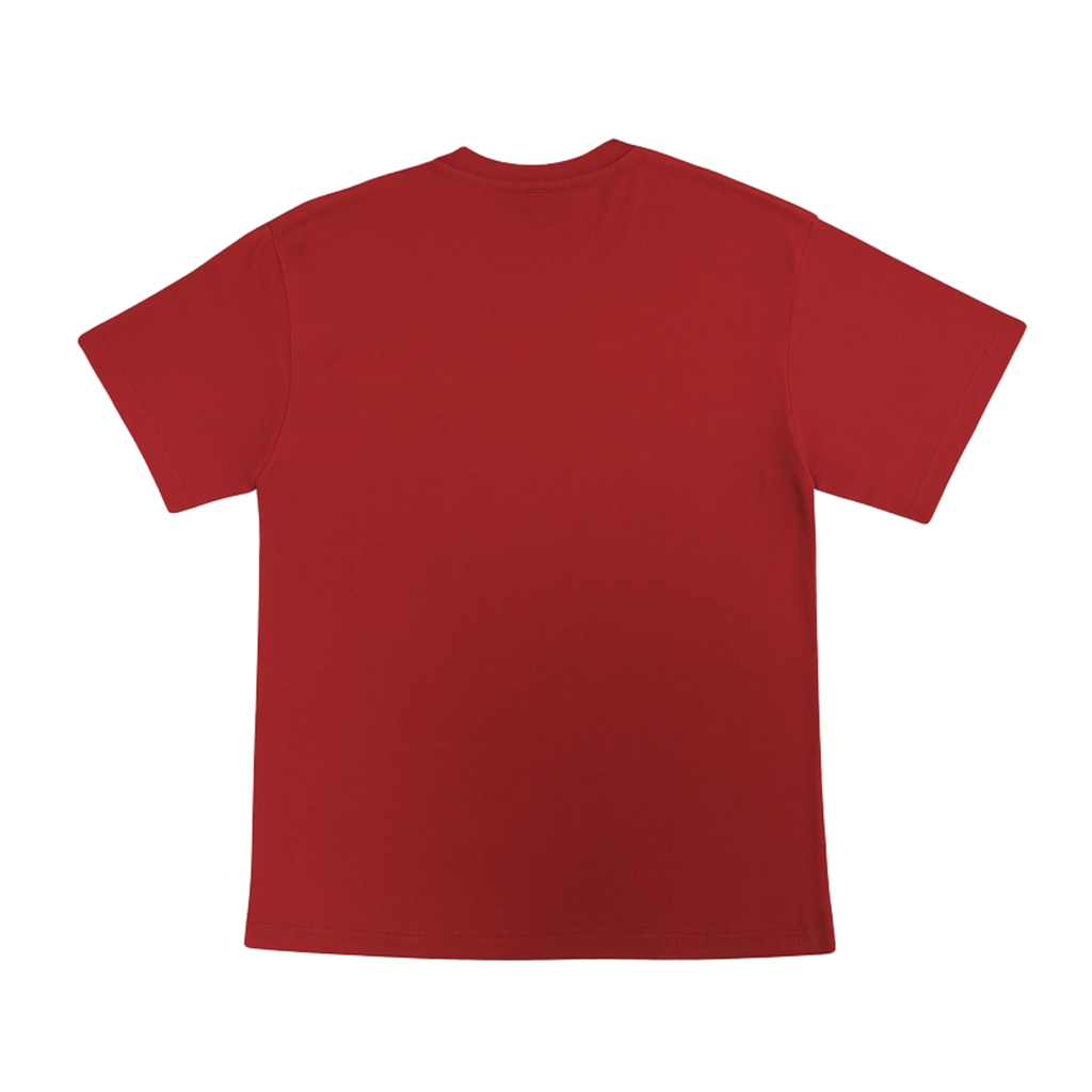 Cotton T-Shirt Short Sleeves CT21E 210gsm