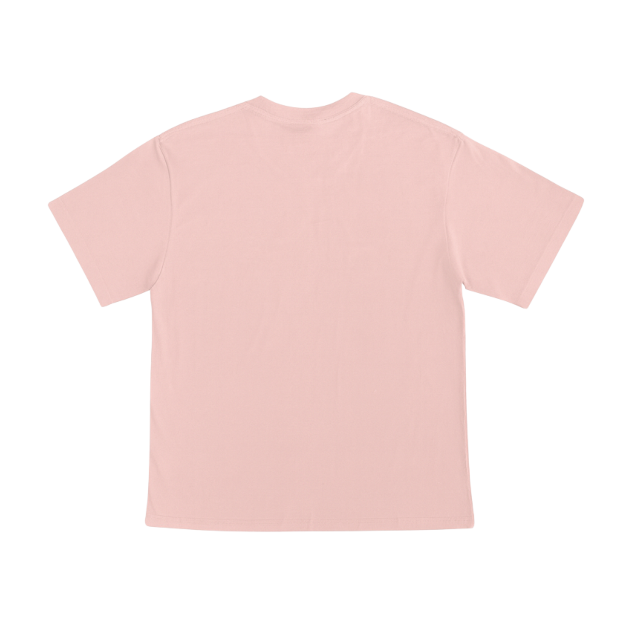 Cotton T-Shirt Short Sleeves CT21E 210gsm