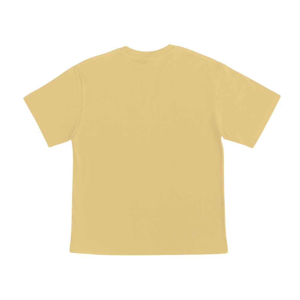 Cotton T-Shirt Short Sleeves CT21E 210gsm