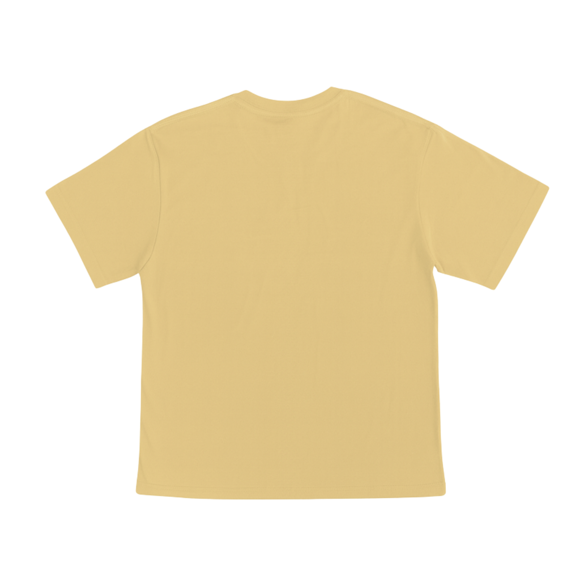 Cotton T-Shirt Short Sleeves CT21E 210gsm