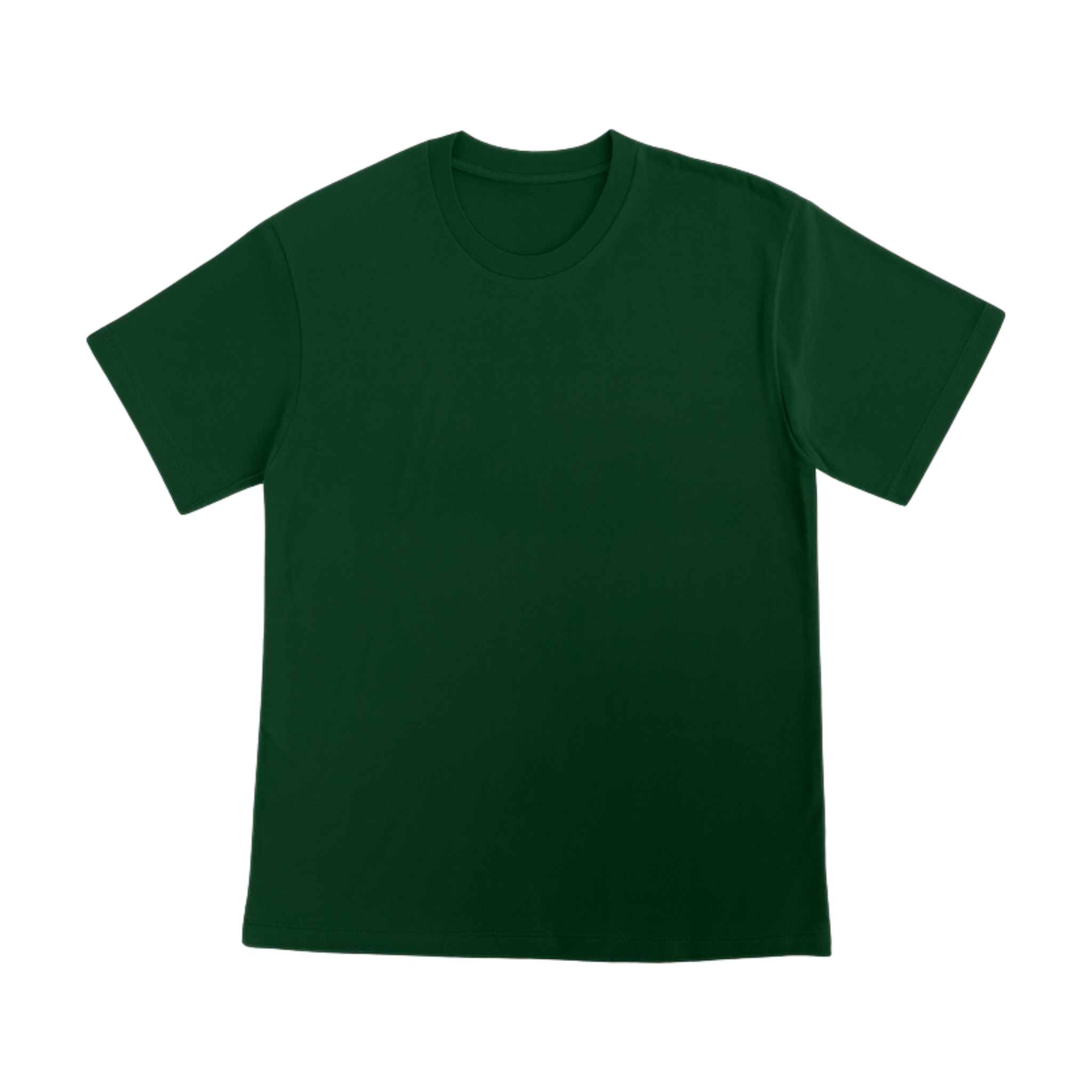 Cotton T-Shirt Short Sleeves CT21E 210gsm