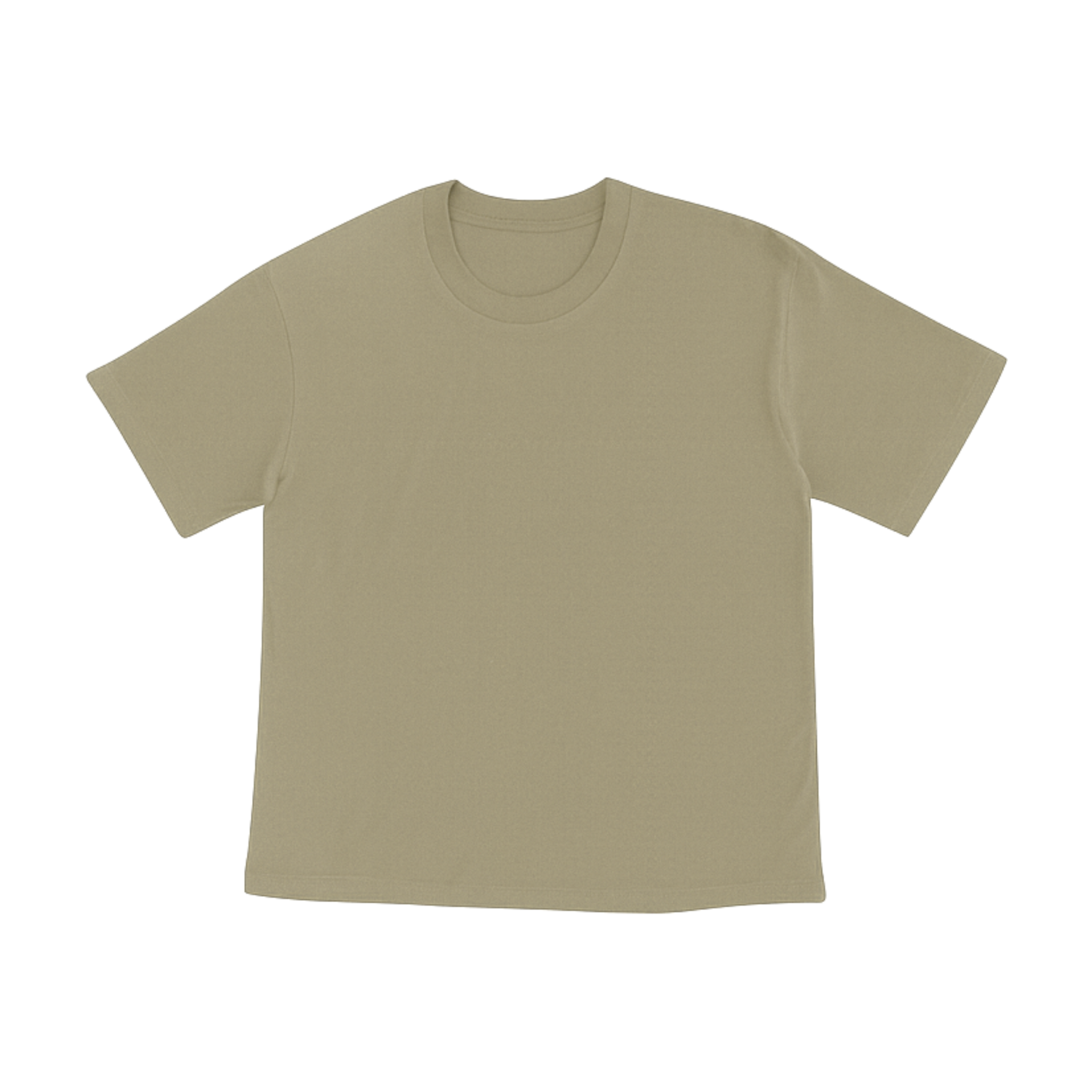 Cotton T-Shirt Short Sleeves CT21E 210gsm