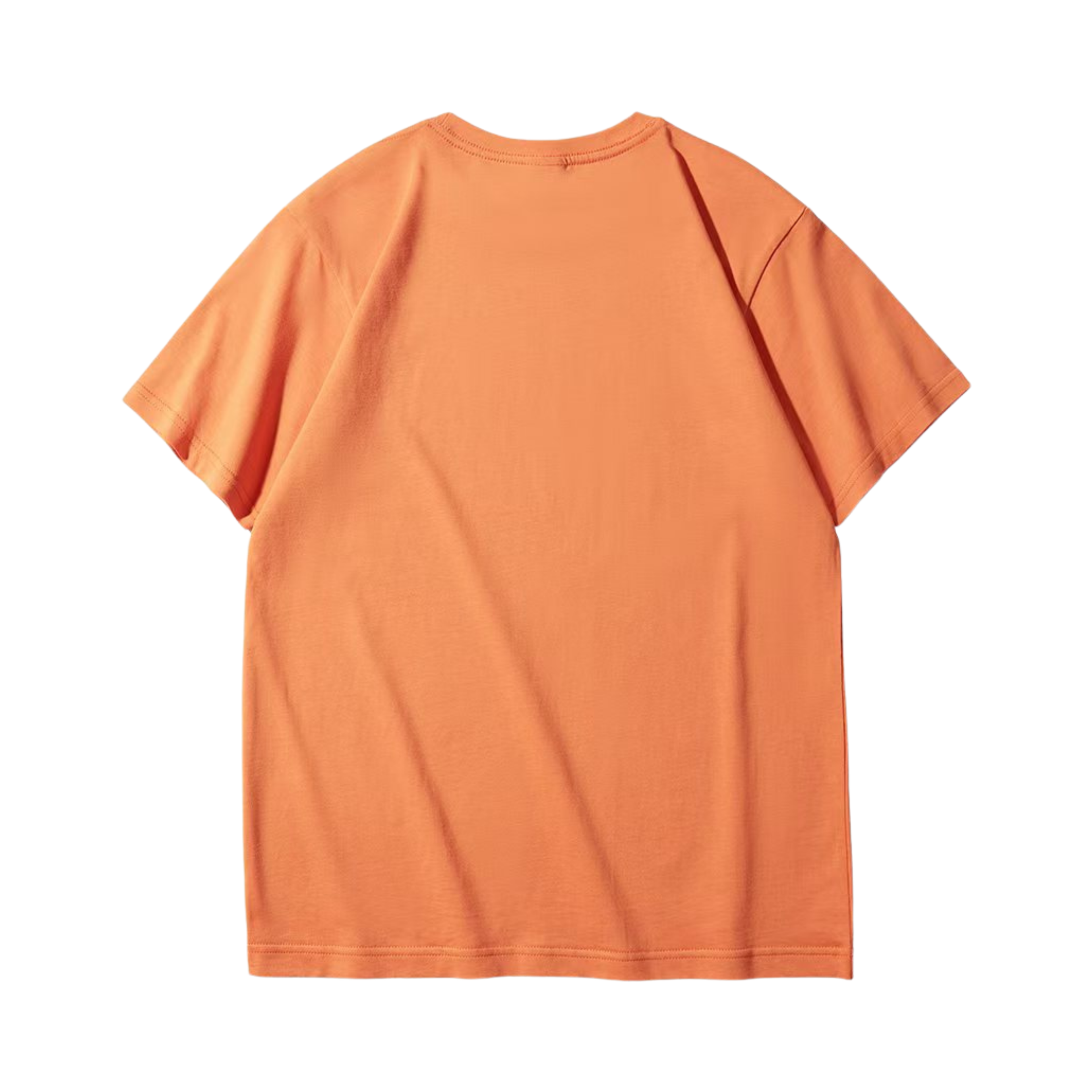 Cotton T-Shirt Short Sleeves CT21 210gsm