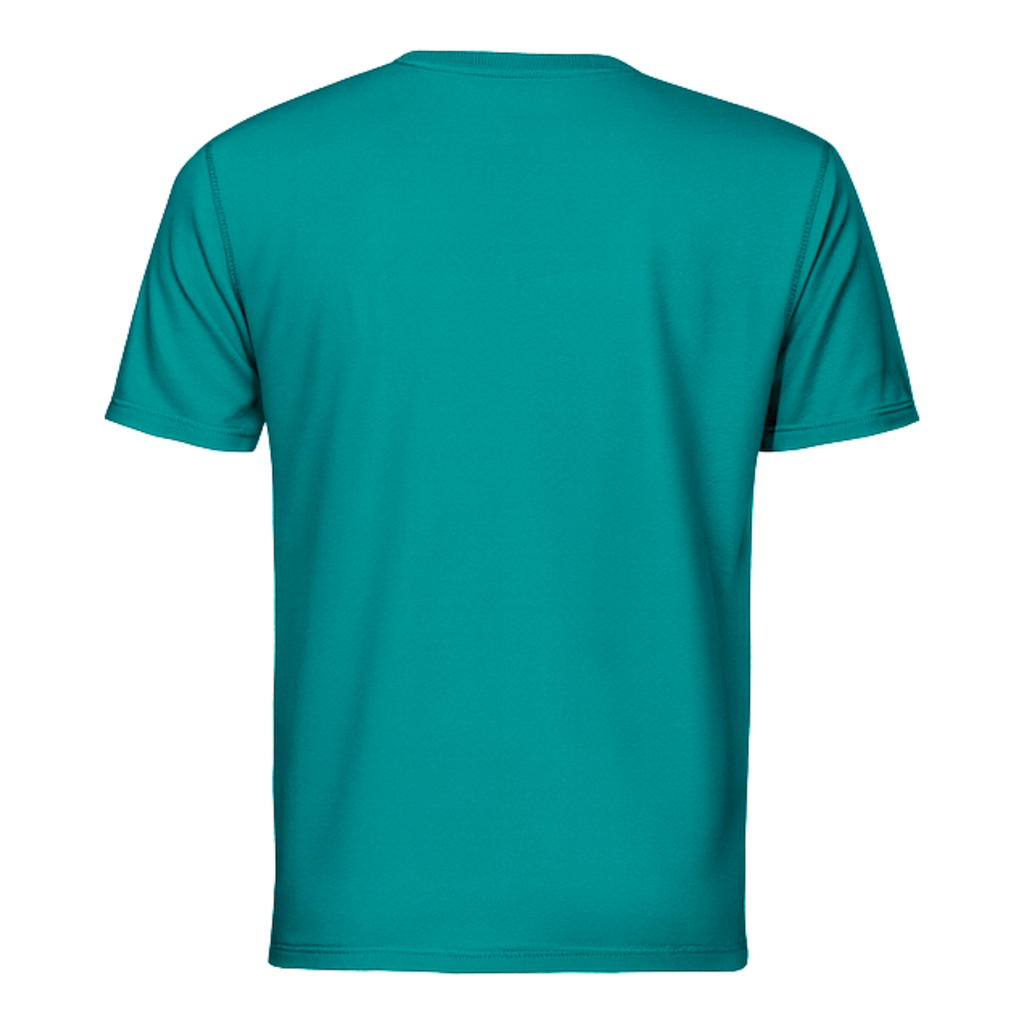 Dri-Fit T-Shirt Short Sleeves DF01 160gsm