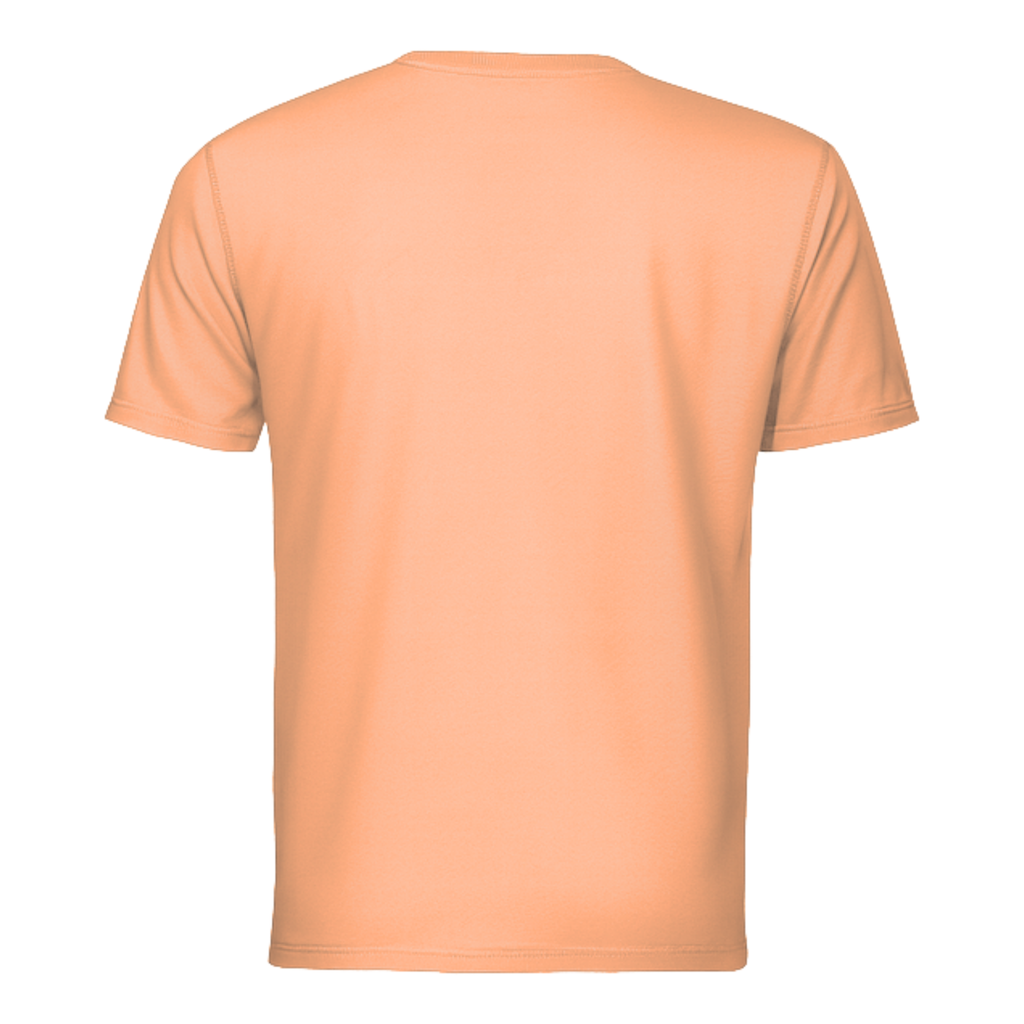 Dri-Fit T-Shirt Short Sleeves DF01 160gsm