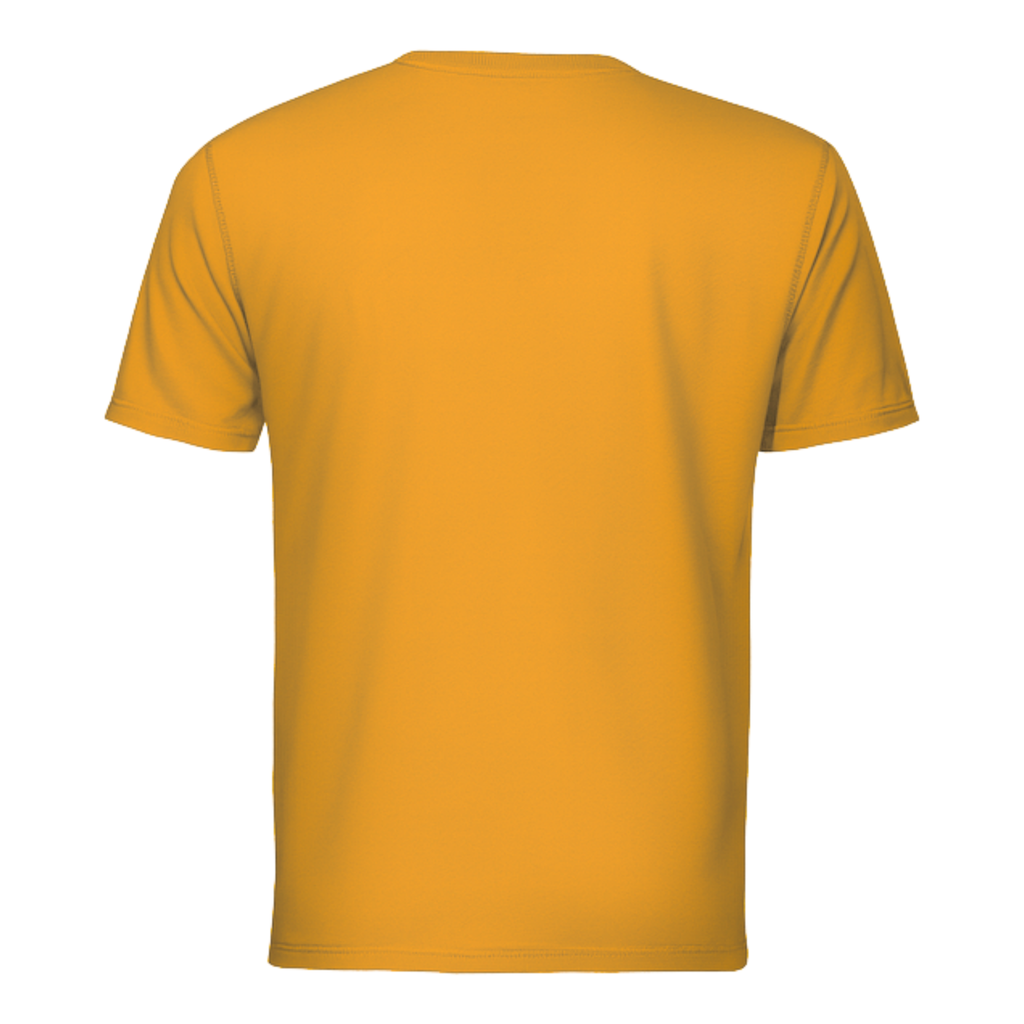 Dri-Fit T-Shirt Short Sleeves DF01 160gsm