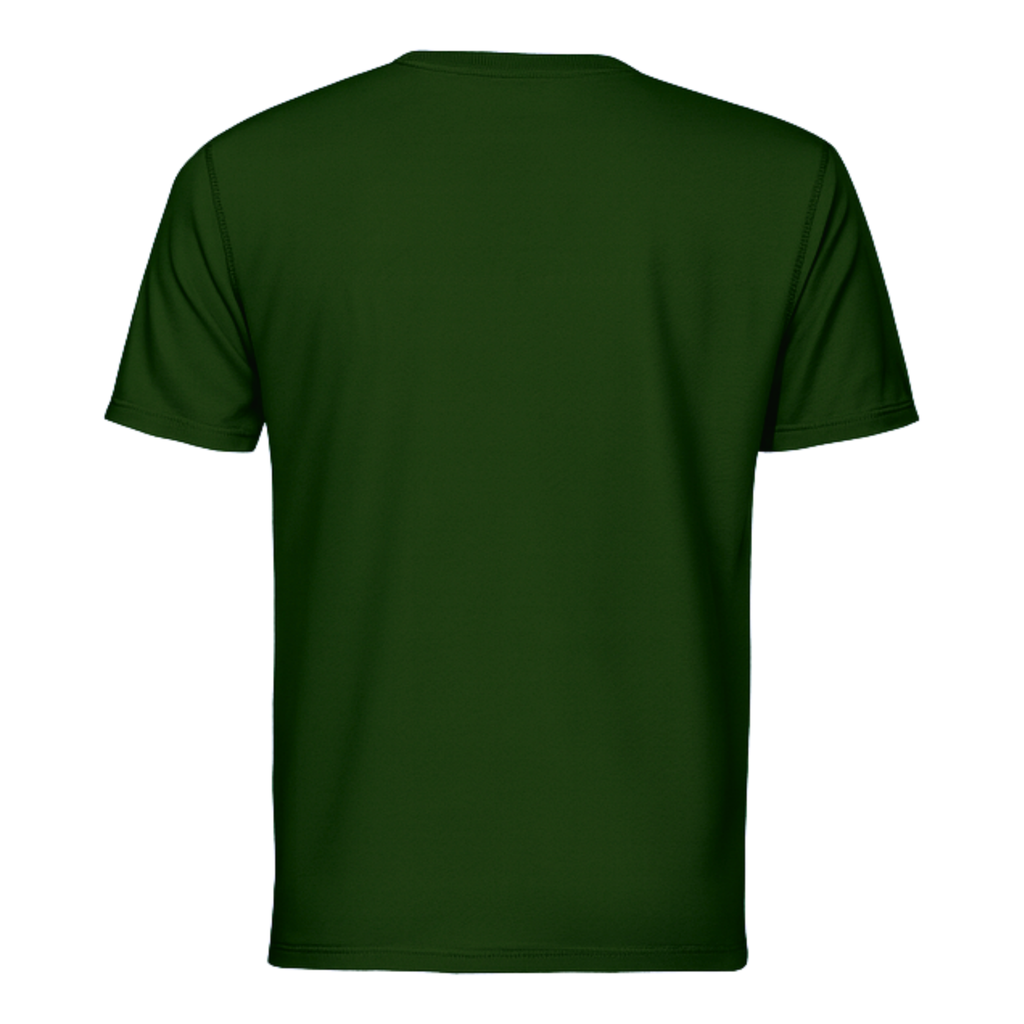 Dri-Fit T-Shirt Short Sleeves DF01 160gsm