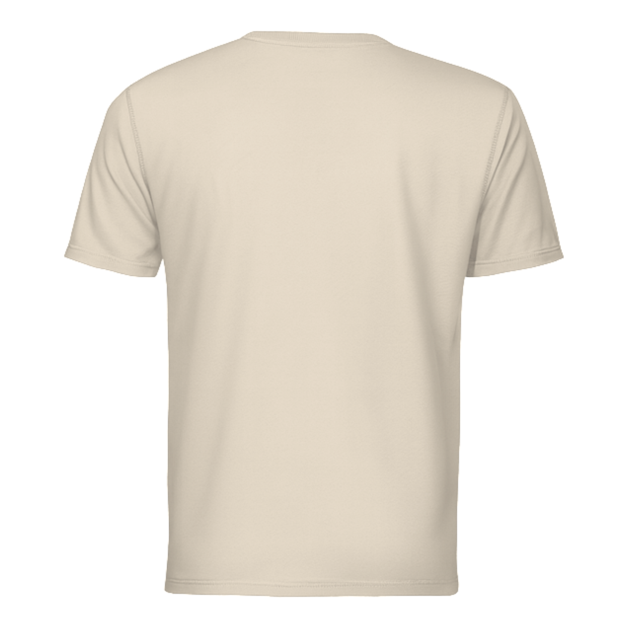 Dri-Fit T-Shirt Short Sleeves DF01 160gsm