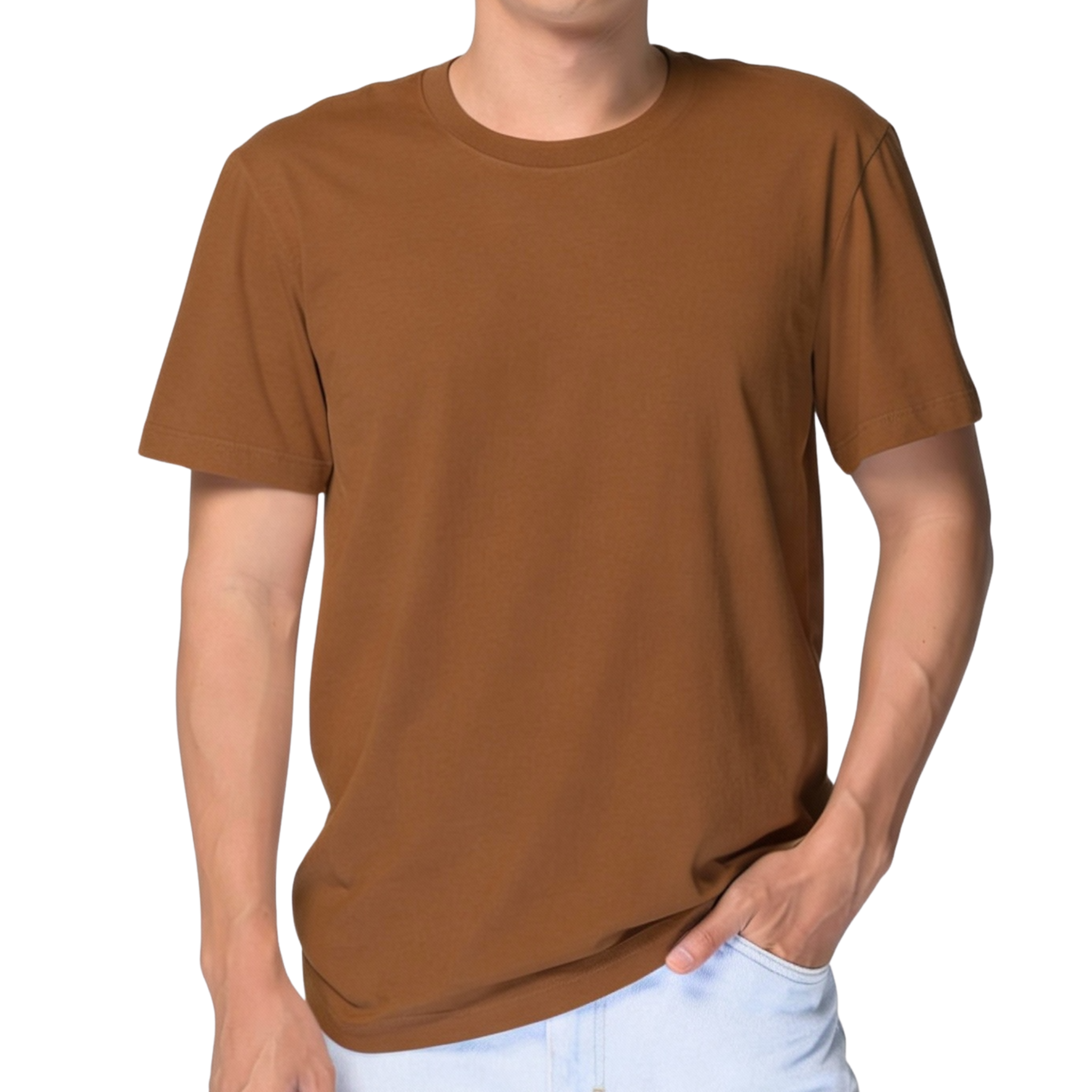 Cotton T-Shirt Short Sleeves CT21E 210gsm